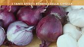 I benefici della cipolla