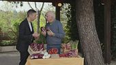 Il radicchio trevigiano: un amico per la digestione