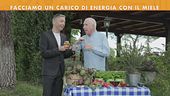 Il miele