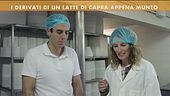 I derivati di un latte di capra appena munto
