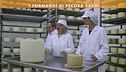 I formaggi di pecora sardi