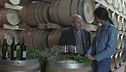 Nel Sulcis, alla scoperta dell'elleccellenza dei vini