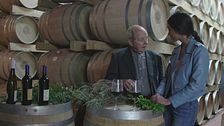 Nel Sulcis, alla scoperta dell'elleccellenza dei vini