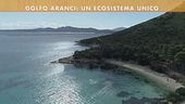 L'ecosistema di Golfi Aranci