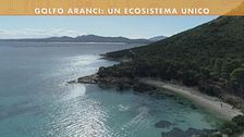 L'ecosistema di Golfi Aranci