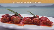 Il gattuccio in agrodolce