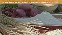 Il grano saraceno