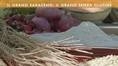 Il grano saraceno