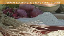 Il grano saraceno