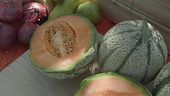 Il melone
