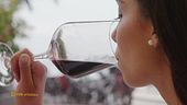 Il vino rosso del Garda doc