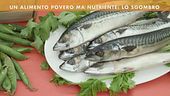 I doni del mare