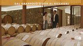 Dal grappolo al bicchiere