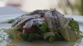 Insalata di sardoncini