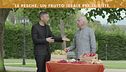 Le pesche, un frutto ideale per le diete