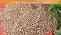 Le proprietà del farro
