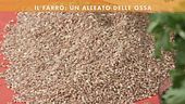Le proprietà del farro