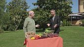 Olive, proteggono occhi e cuore