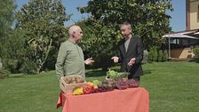 Olive, proteggono occhi e cuore