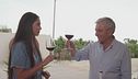 Il vino siciliano