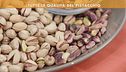 Le qualità del pistacchio