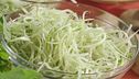 Le puntarelle