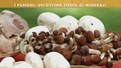 I funghi