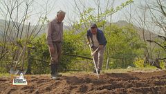La regola di Calamecca