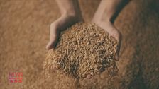 Salute e alimentazione