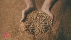 Salute e alimentazione