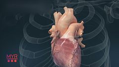 La salute del cuore