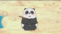 Una fidanzata per Panda