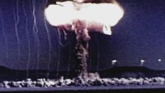 Ep. 7 - Nella giungla