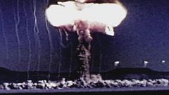 Ep. 7 - Nella giungla