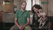 Gli amici degli animali