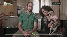 Gli amici degli animali