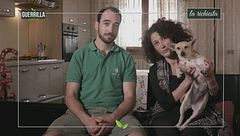 Gli amici degli animali