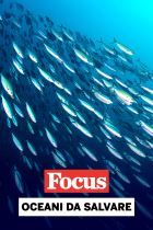 Oceani da salvare
