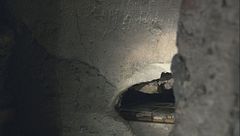 Le reliquie di San Pietro