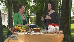 La cena perfetta: i consigli di Valeria Airoldi