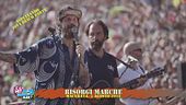 Risorgi Marche