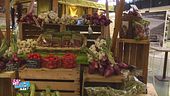 FICO Eataly World