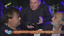 Bentrovati con i Gatti di Vicolo Miracoli