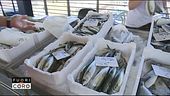 Pesca amara