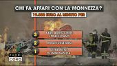 Avvoltoi da discarica