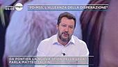 Salvini e il nuovo governo