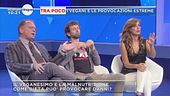 Cecchi Paone contro i vegani