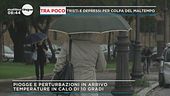 Piogge e perturbazioni in arrivo