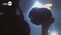 Come sono fatti gli Ufo?