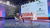 La campagna del FAI
